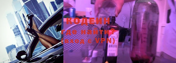 прущие грибы Верея