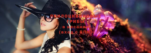 амф Верхний Тагил