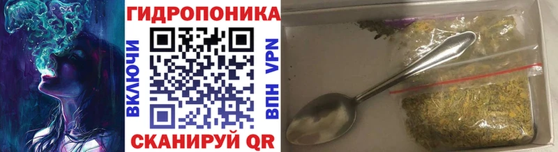 Купить где  Костерёво  Бошки марихуана OG Kush 